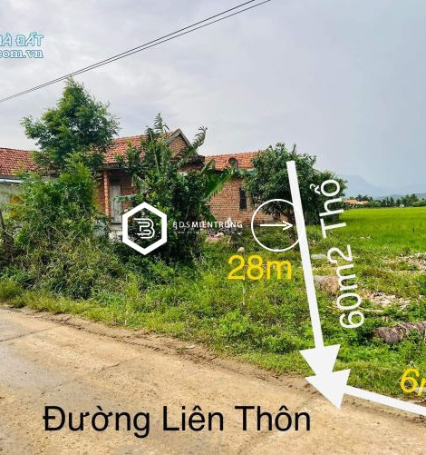 chỉ hơn 600tr sở hữu ngay lô đất siêu đẹp siêu đầu tư tại thị xã Ninh Hòa 0